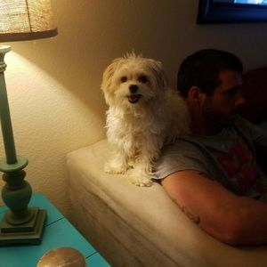 Meet your Posher, James