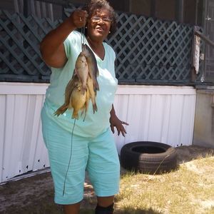 Meet your Posher, Lula