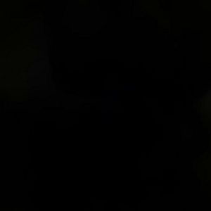 Meet your Posher, Dorval