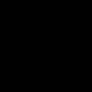 Meet your Posher, Rita