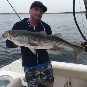 Meet your Posher, Peter