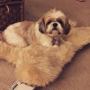 Meet your Posher, Lee