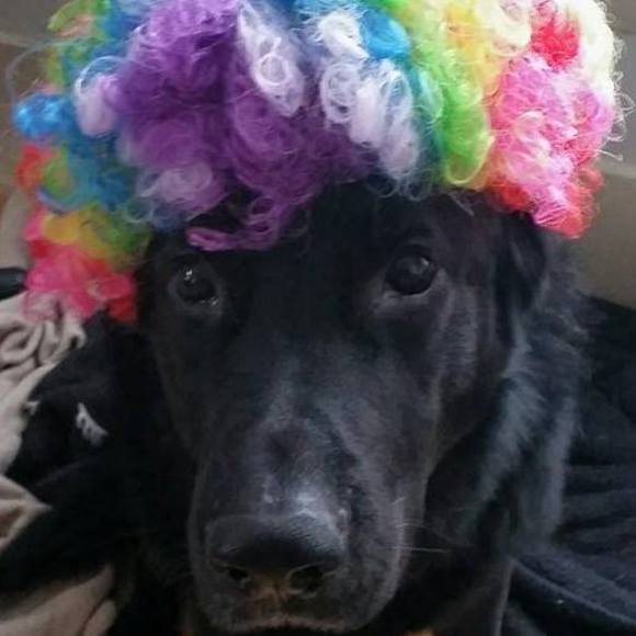 Meet your Posher, Anita - Picture 1 of 1