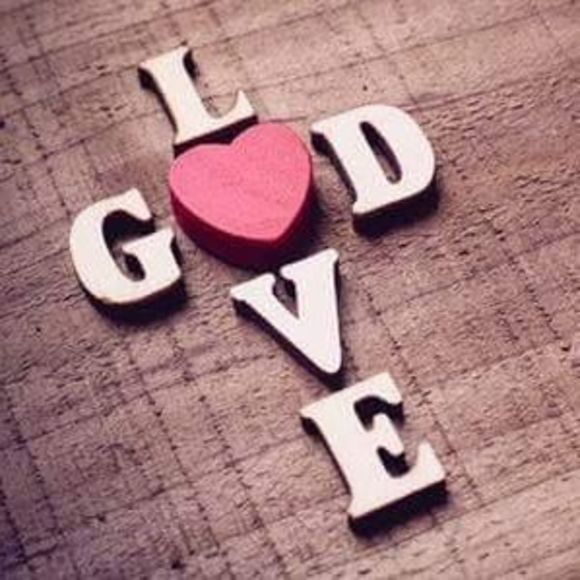 Meet your Posher, Penny - Picture 1 of 1