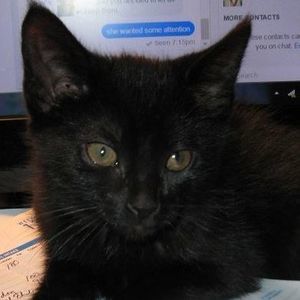 Meet your Posher, Cathy