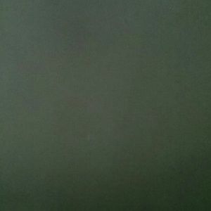 Meet your Posher, Gregory