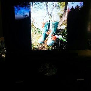 Meet your Posher, Sally