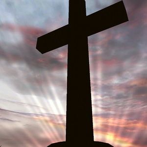 Meet your Posher, Kacey