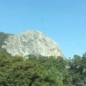 Meet your Posher, Esther