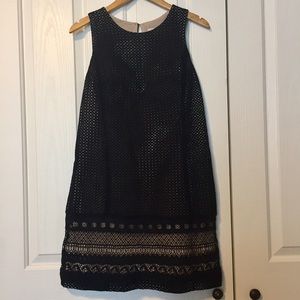 LOFT Black Lace Illusion Dress