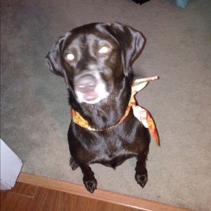 Meet your Posher, Justine