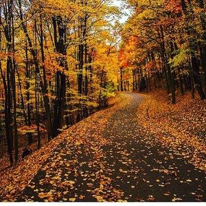 Meet your Posher, Mustafa