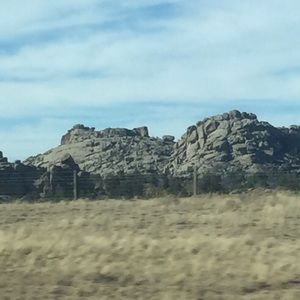 Meet your Posher, Paul