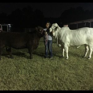 Meet your Posher, Kara