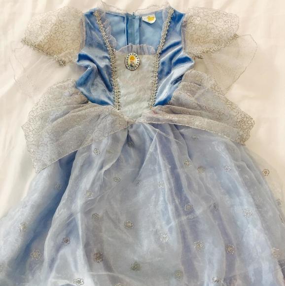 Cinderella costume