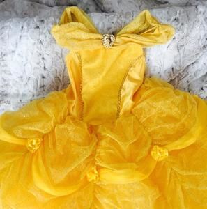 Belle Costume