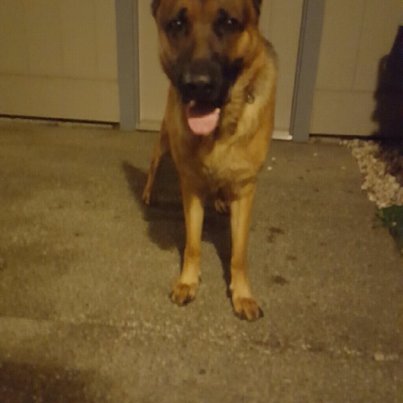 Meet your Posher, Rita - Picture 1 of 1