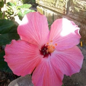 Meet your Posher, Mandy