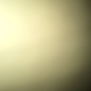 Meet your Posher, Rudy