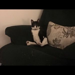 Meet your Posher, Shannon