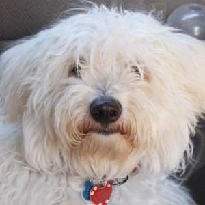 Meet your Posher, Kathy connor