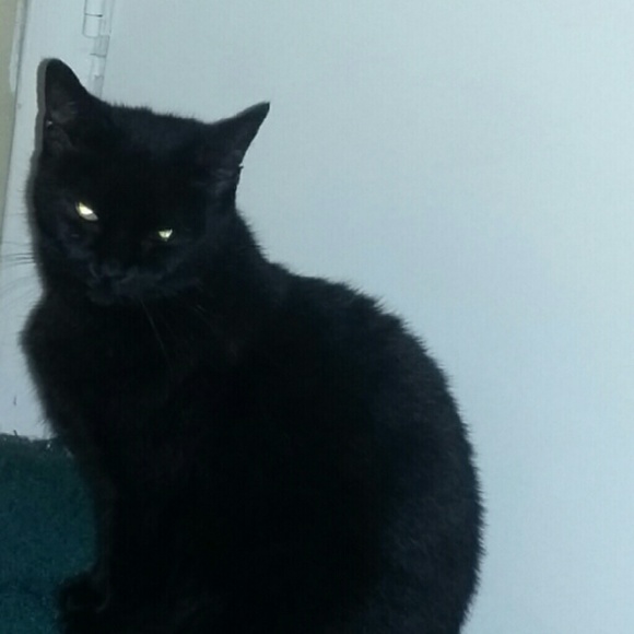 Meet your Posher, Lena