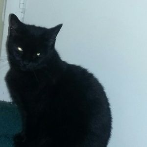 Meet your Posher, Lena