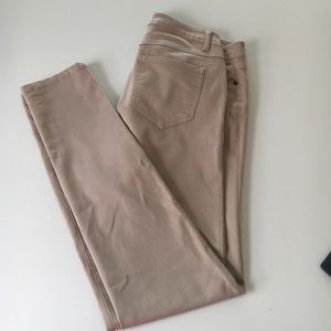 Scarlet Boulevard khakis