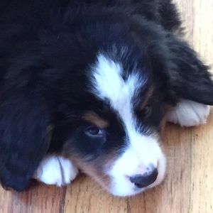 Meet your Posher, Kate