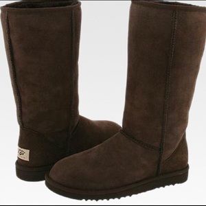 Tall Chocolate Uggs