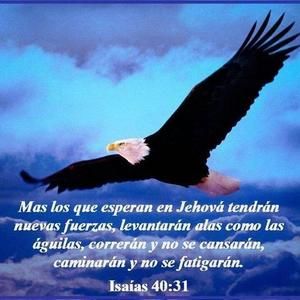 Meet your Posher, Marcelo