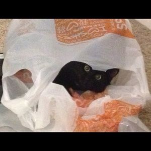 Meet your Posher, Elisa