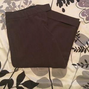 Express dress capri