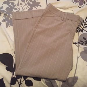 Express dress capris