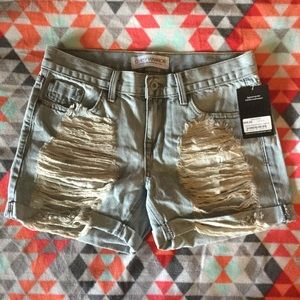 NWT Gypsy Warrior destroyed boyfriend shorts
