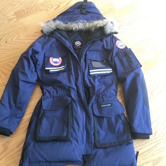 Canada goose