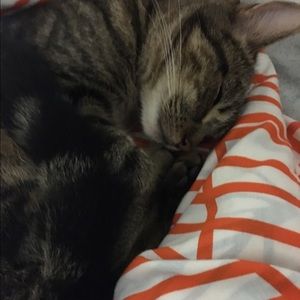 Meet your Posher, May