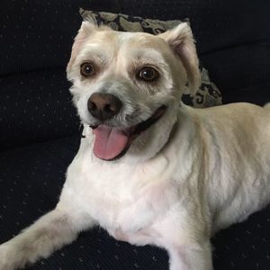 Meet your Posher, Wendy