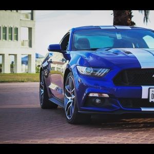 Meet your Posher, Alfredo