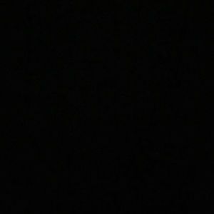 Meet your Posher, Antwanika