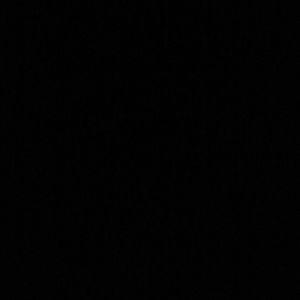 Meet your Posher, Bailey