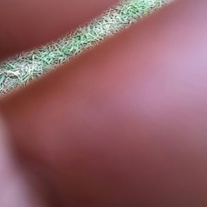 Meet your Posher, Jillian