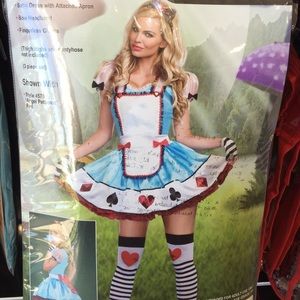 Alice in wonderland costume