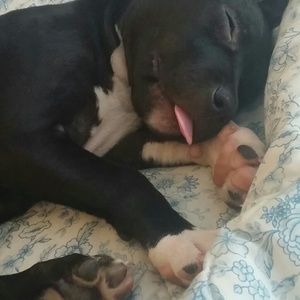 Meet your Posher, Dawn