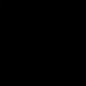 Meet your Posher, Bridgette