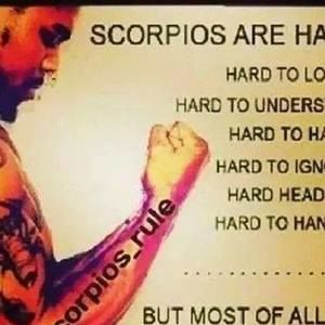 Meet your Posher, Bonnie