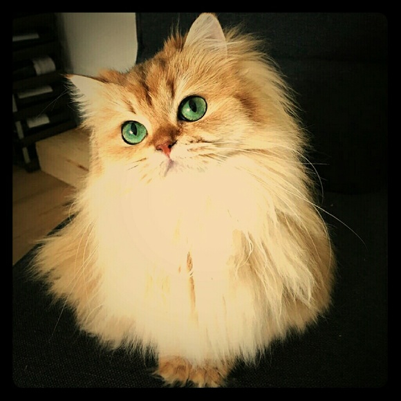 All offers on any piece will be considered!