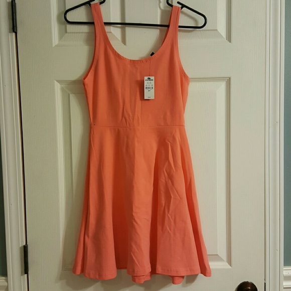 Express Skater Dress