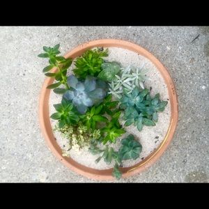 Meet your Posher, Galina