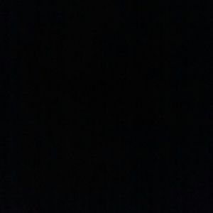 Meet your Posher, Trina